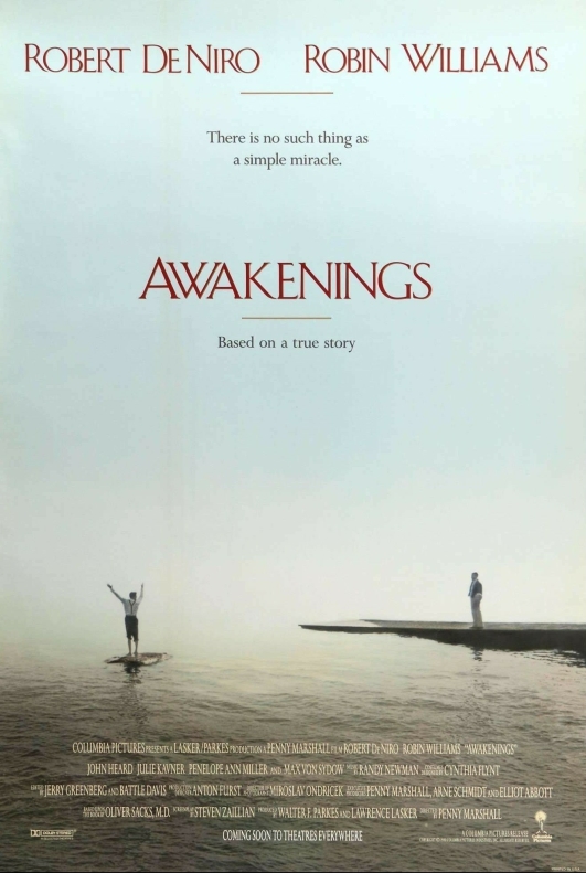 awakenings_original_film_art_1_spo_2000x (1)-11262933540..jpg